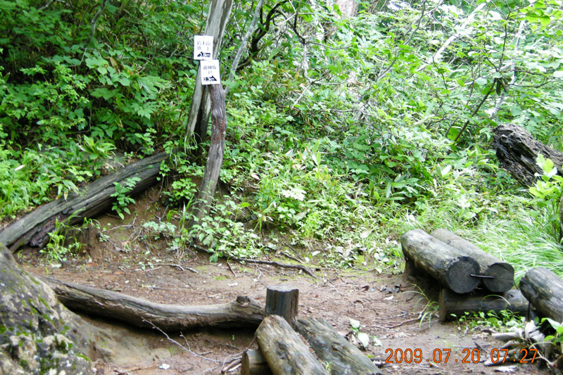 c0077847_2211180.jpg