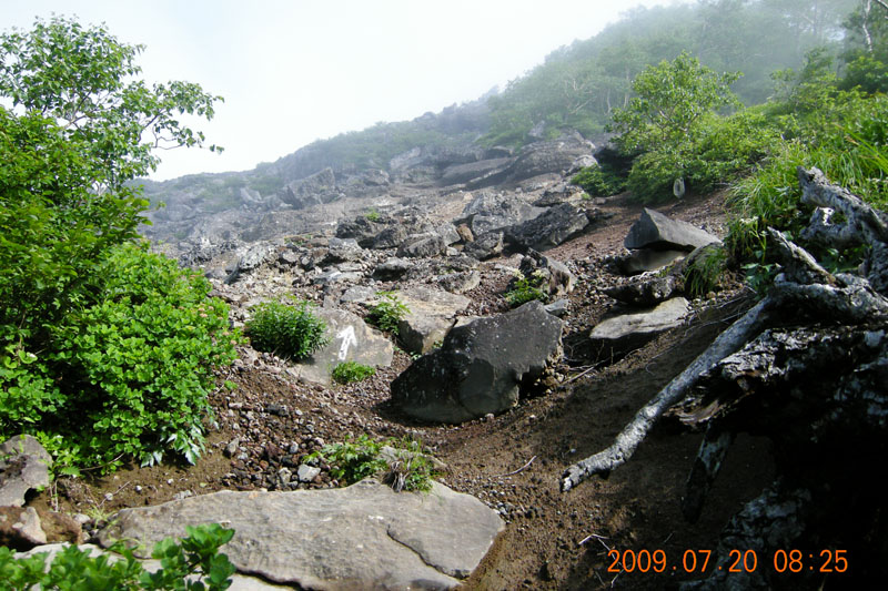 c0077847_2214836.jpg