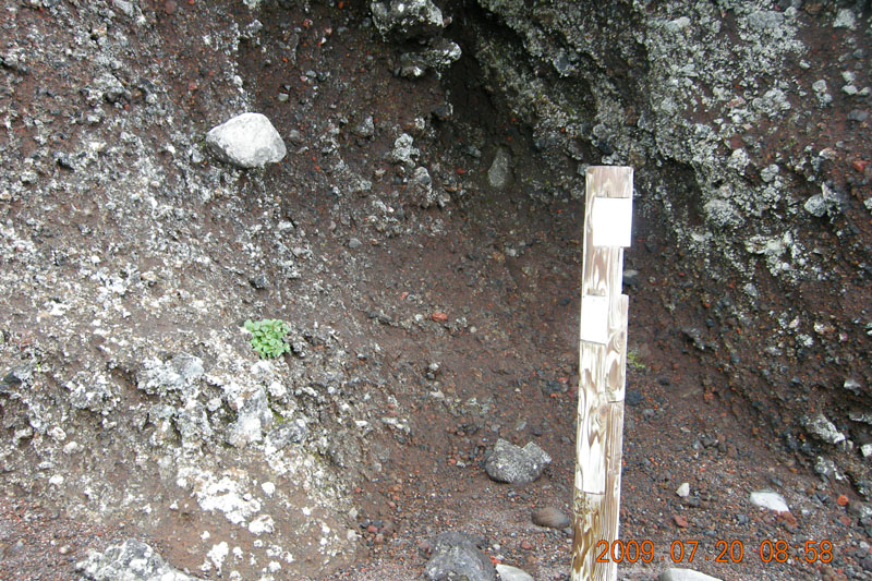 c0077847_2221190.jpg