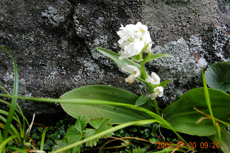 c0077847_2222199.jpg