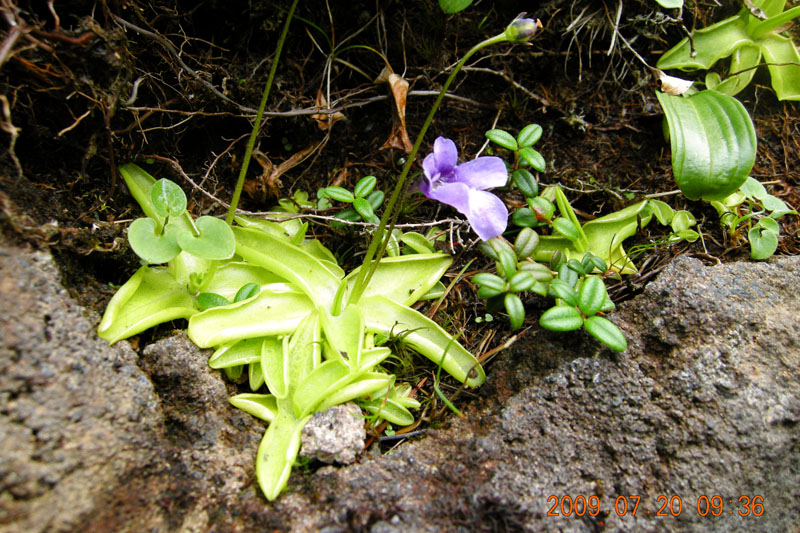 c0077847_2223249.jpg