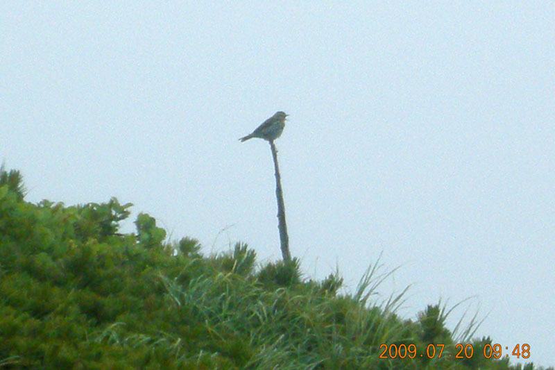 c0077847_2224517.jpg