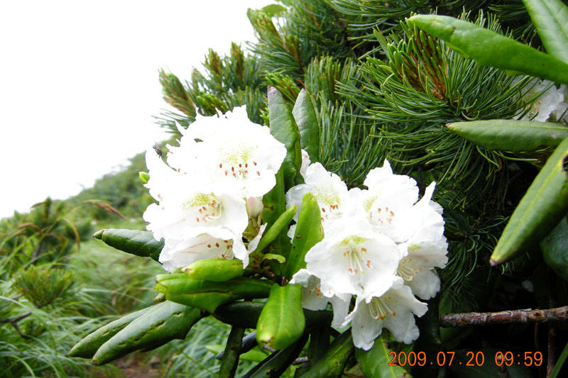 c0077847_2225470.jpg