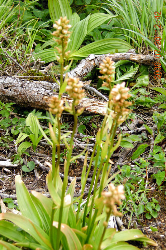 c0077847_2244148.jpg