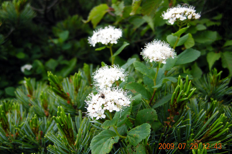 c0077847_224514.jpg