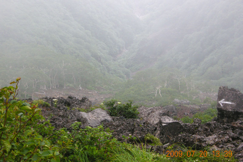 c0077847_22628.jpg
