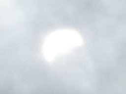 c0047449_19123524.jpg