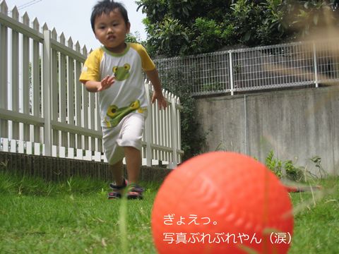 a0090451_23121719.jpg