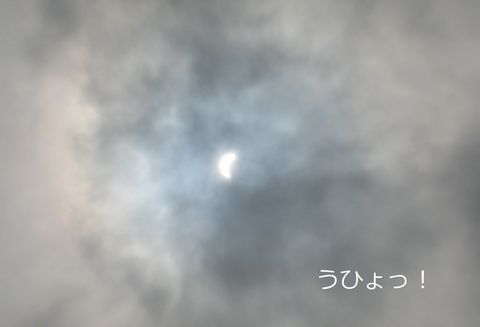 a0090451_23154557.jpg