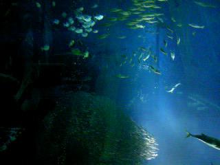 b0146451_5304858.jpg