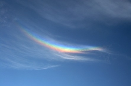 b0173754_13344916.jpg