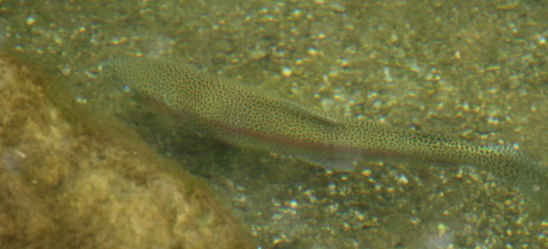 a0111756_14501385.jpg