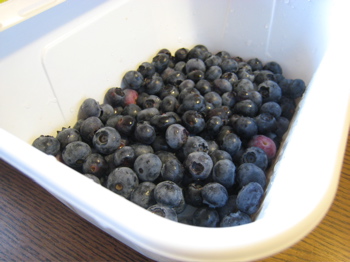 c0153259_1782781.jpg