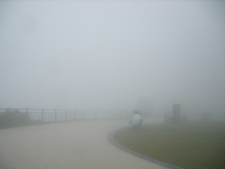 f0043559_1585422.jpg