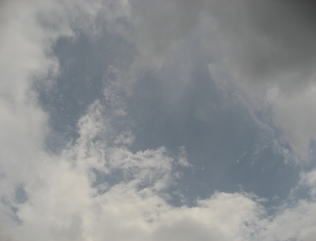 a0064260_1953989.jpg