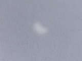 e0096862_2294025.jpg