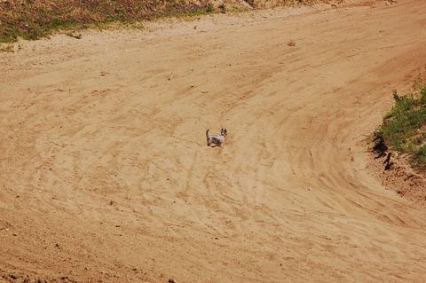 f0144362_8383.jpg