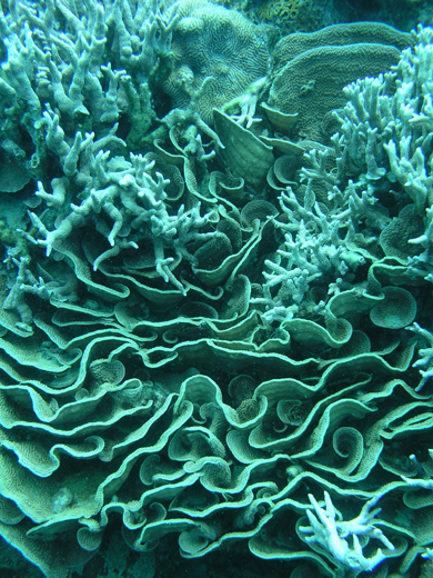 b0062363_2123925.jpg