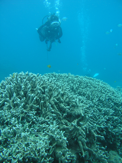 b0062363_212462.jpg