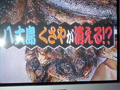 e0097770_21155548.jpg