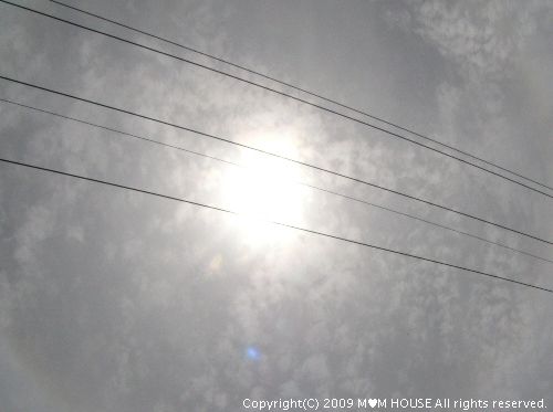 c0139375_154199.jpg