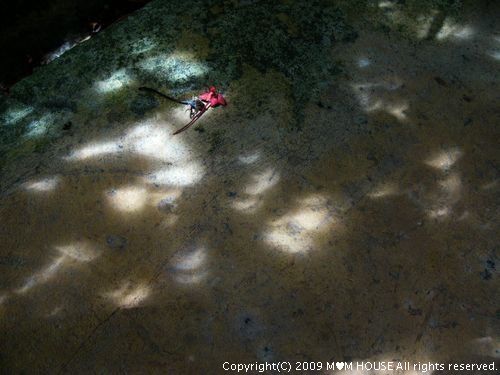 c0139375_1552644.jpg