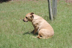 f0004775_5362891.jpg