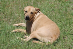 f0004775_5373414.jpg