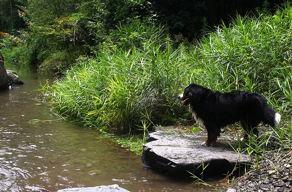 c0149178_18551692.jpg