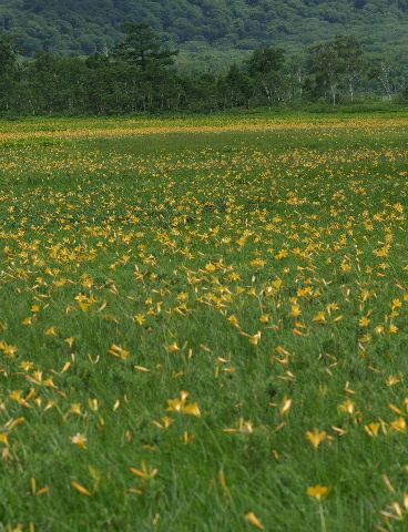 a0094280_2125269.jpg