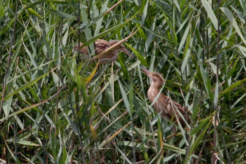 a0083081_143736.jpg