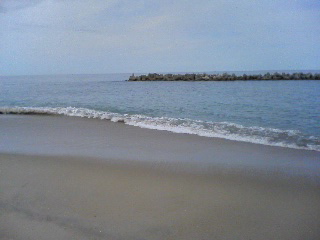 f0001781_13324286.jpg