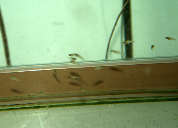 e0018082_21235015.jpg
