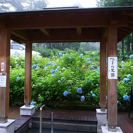 b0093385_1558014.jpg