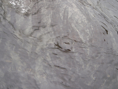 c0146788_97468.jpg