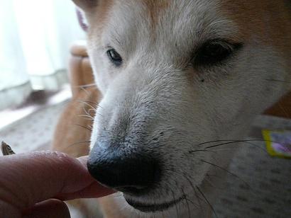 c0123890_20561050.jpg
