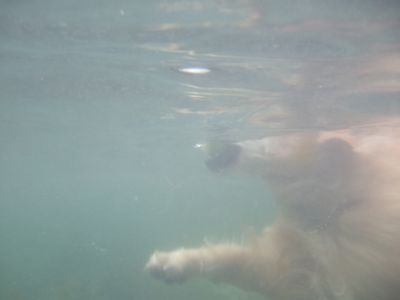 d0118592_15242845.jpg
