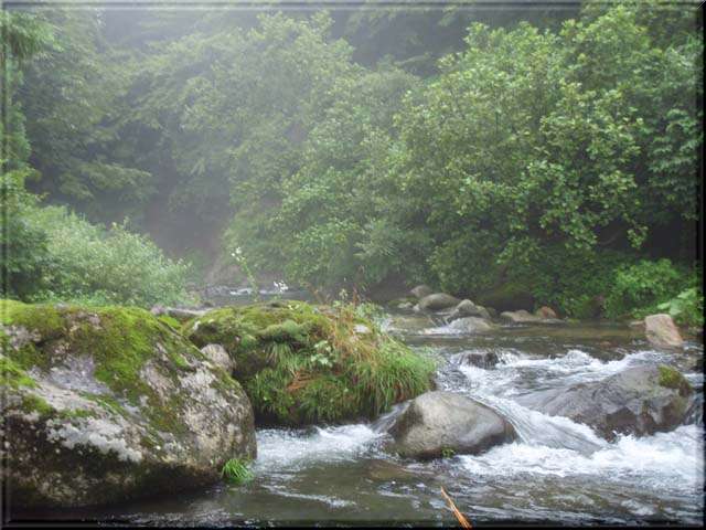 a0043395_21225024.jpg