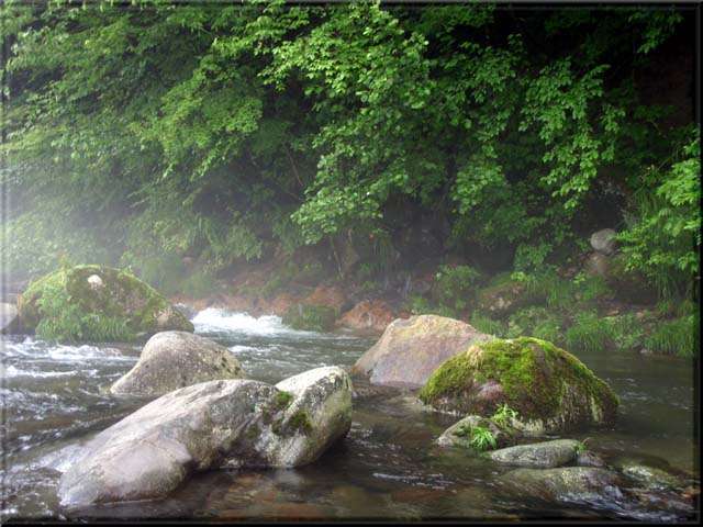 a0043395_21242825.jpg