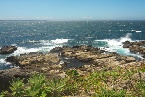 c0084097_10325925.jpg