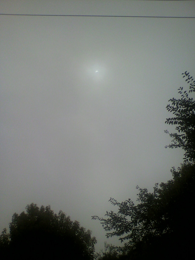 f0108399_20564283.jpg