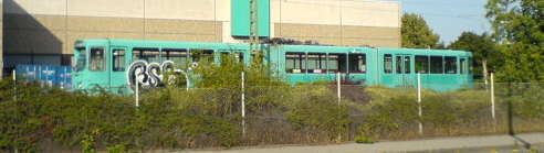 a0056401_19212133.jpg