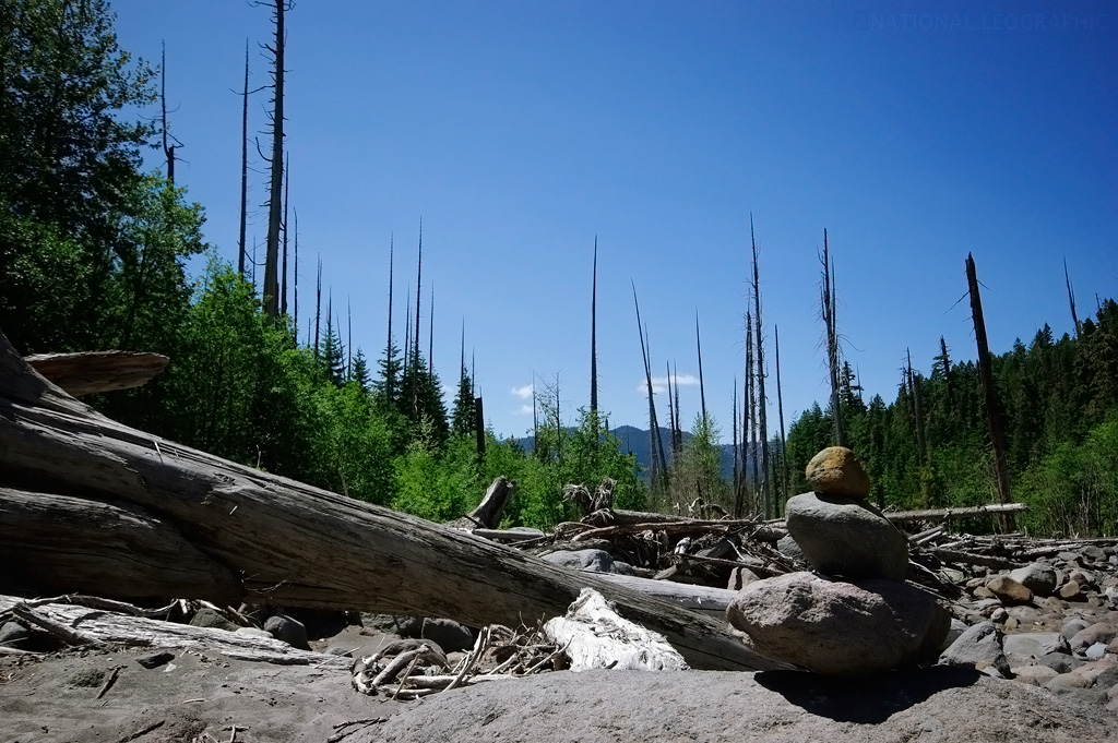 c0080101_5542817.jpg