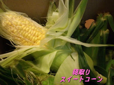 a0075802_20585035.jpg