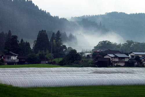 b0014607_20493827.jpg