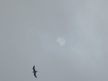 b0007213_18313623.jpg