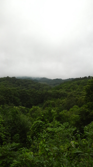c0175114_15433781.jpg