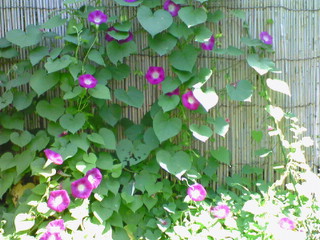 a0073915_8541275.jpg