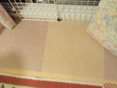 c0145016_18324695.jpg