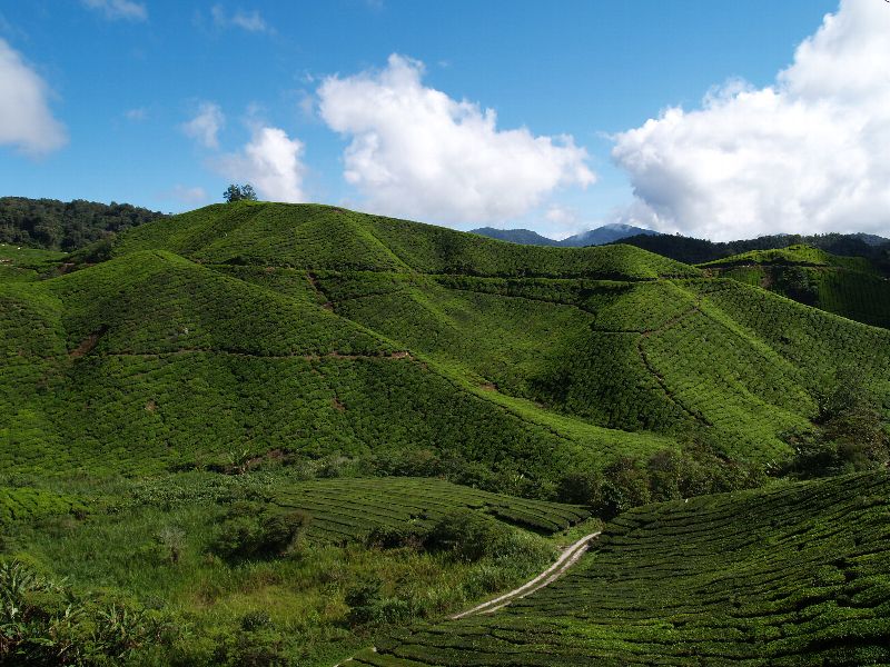 b0168218_23425750.jpg